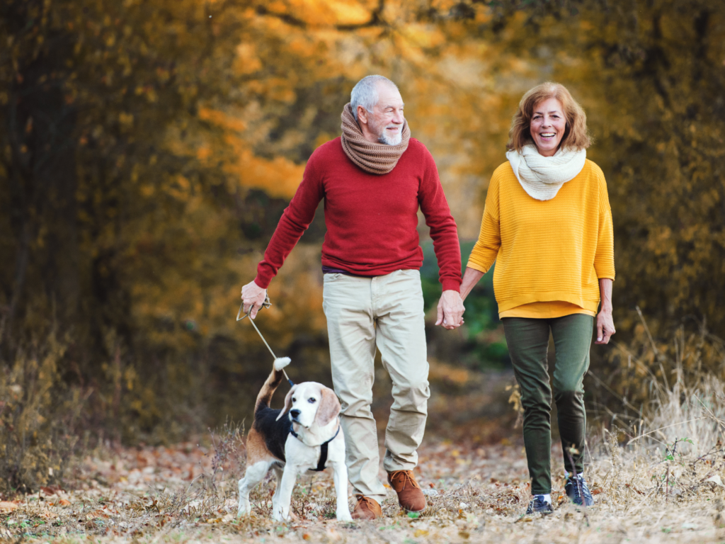 a senior couple walk hand in hand on a trail in the woods in the fall with their beagle on a leash enjoying their lives as they make the most of CDs for retirement